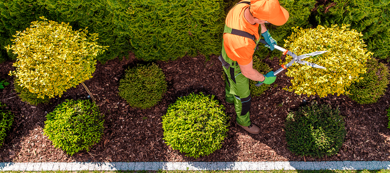Garden Maintenance