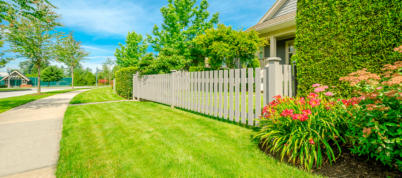 Lawn Care Services