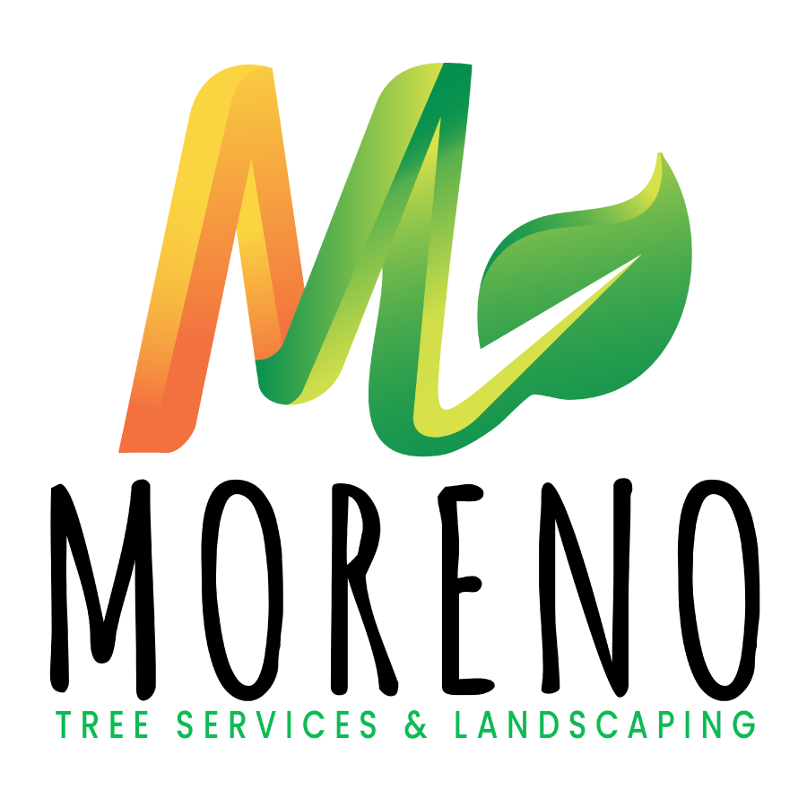 Moreno Tree Services & Landscaping 