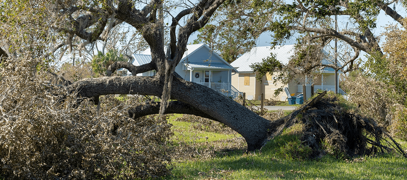 Storm Damage Cleanup