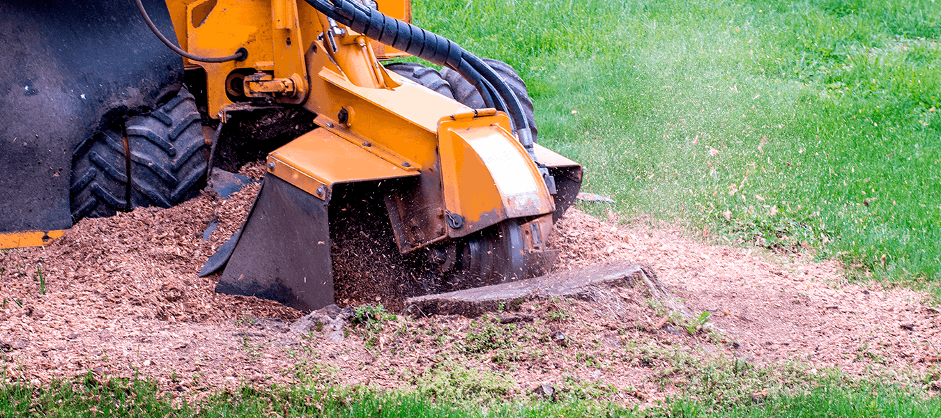 Stump Grinding